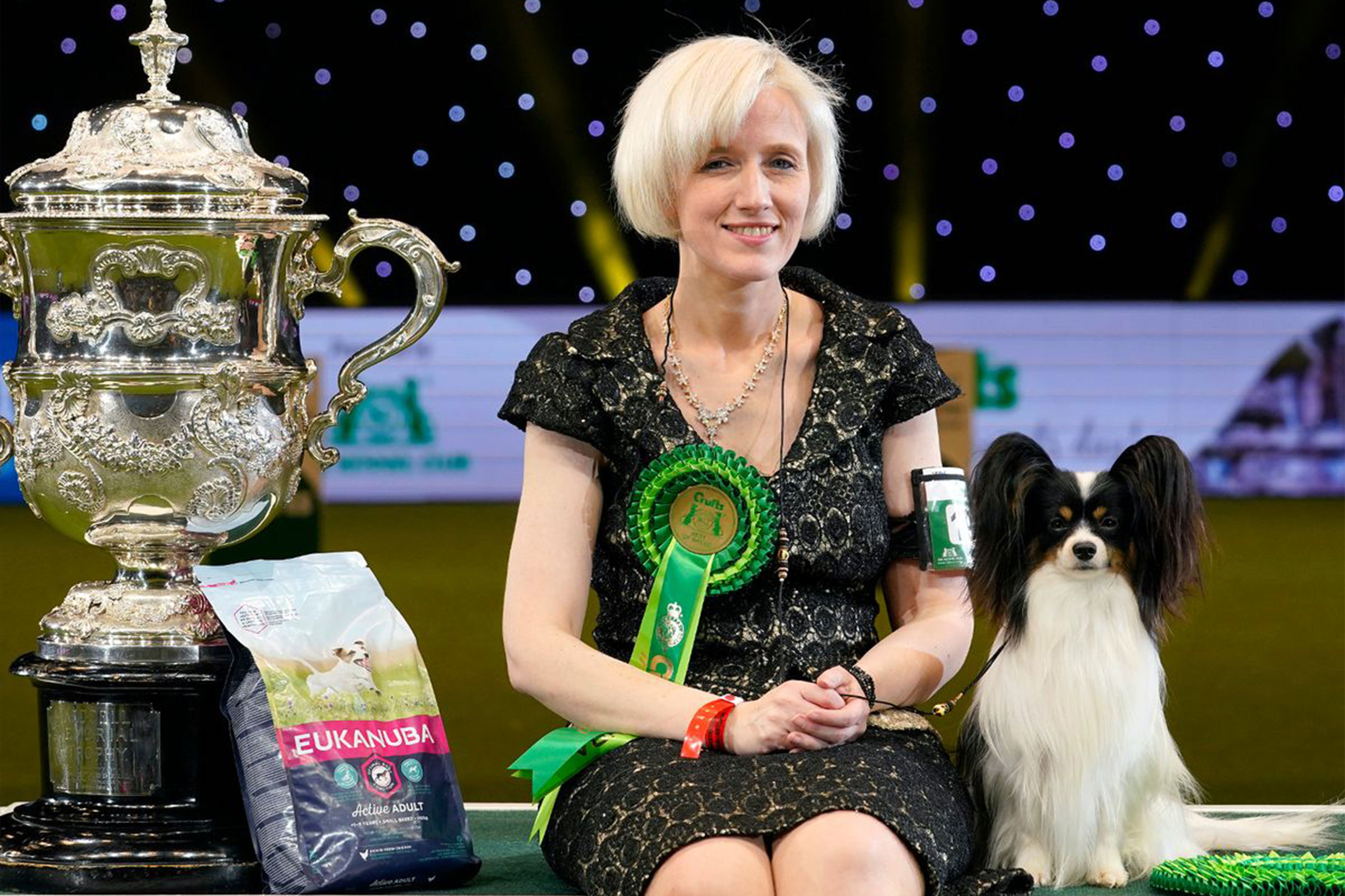 Crufts 2019 Winner Dylan Papillon