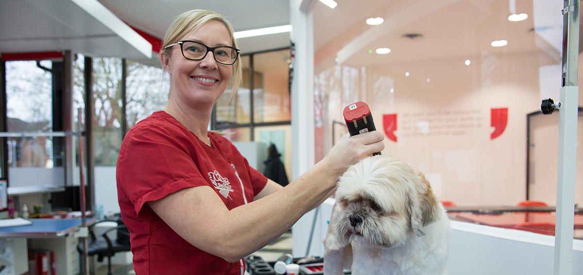 Dog grooming legislation UK what you need to know Groomarts