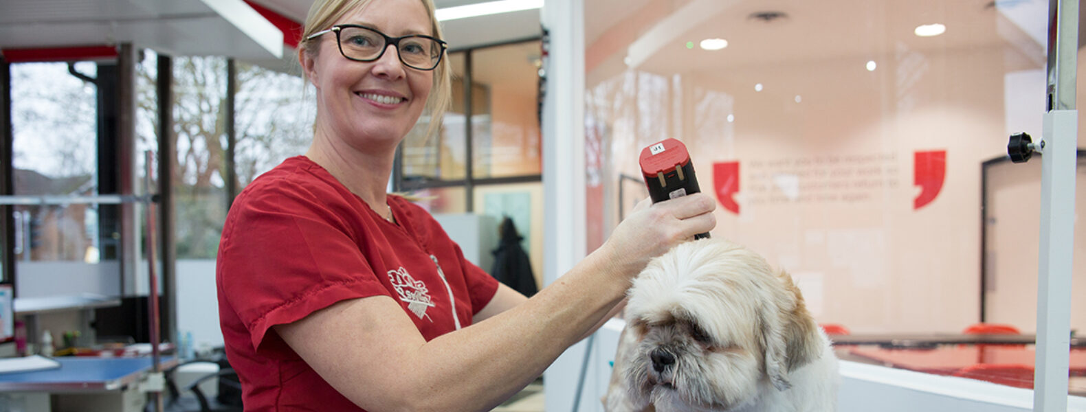 A guide into dog grooming insurance for your business