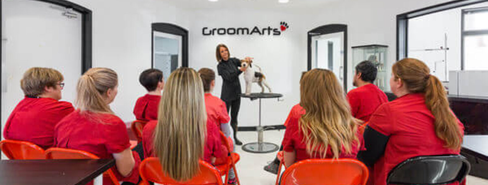 what-qualifications-do-you-need-to-be-a-dog-groomer-groomarts-dog