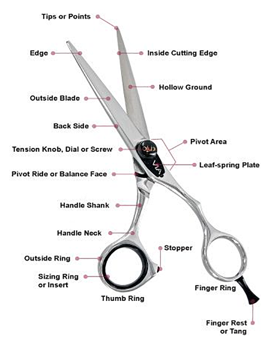 terminology-pair-of-scissors.png#asset:8608